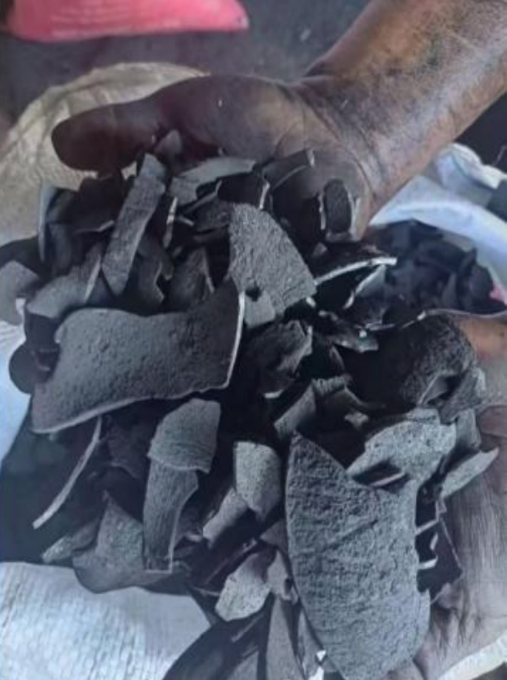 Indonesian natural flake coconut shell charcoal held by hand